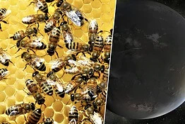 Caccia alla vita aliena: la NASA punta su uno sciame di telescopi