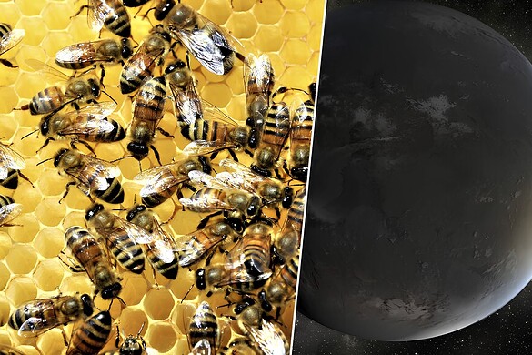 Caccia alla vita aliena: la NASA punta su uno sciame di telescopi