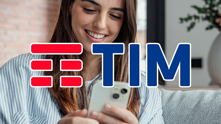 TIMFin