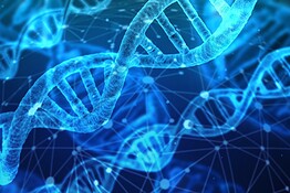Neuroni, il cervello si costruisce spezzando il DNA: la scoperta