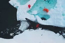 Climate.gov torna online: gli scienziati sfidano l’ordine di Trump
