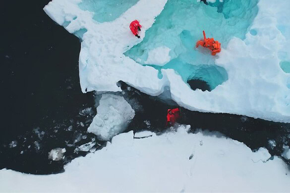 Climate.gov torna online: gli scienziati sfidano l’ordine di Trump