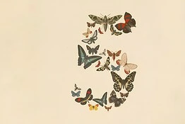 Claude Fable 5 è il modello più potente di Anthropic ma a volte si rifiuta di rispondere