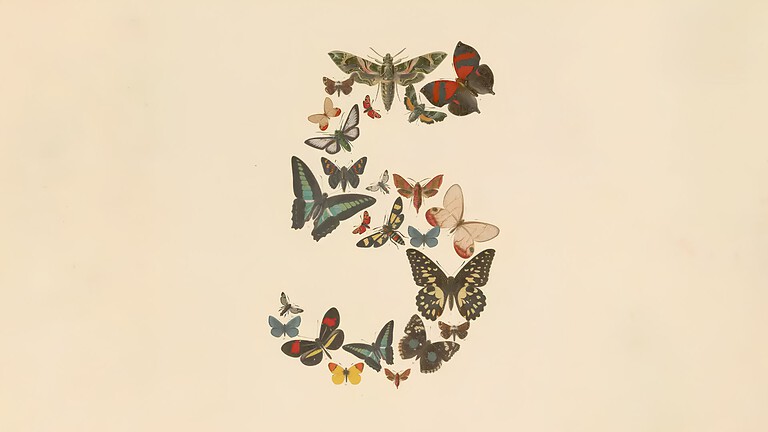 Claude Fable 5