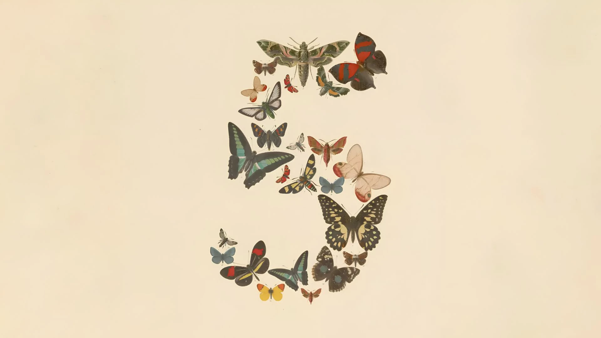 Claude Fable 5