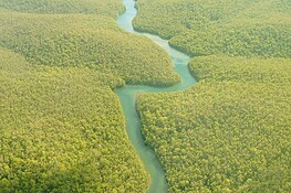 Rio delle Amazzoni, dov’è la vera sorgente? Il giallo che divide gli esperti