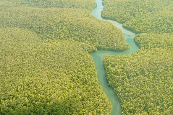 Rio delle Amazzoni, dov’è la vera sorgente? Il giallo che divide gli esperti