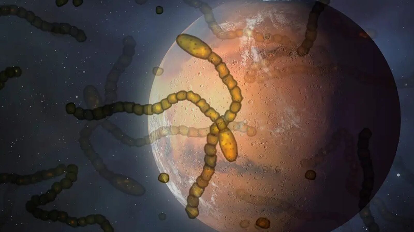 Panspermia, la Terra semina batteri su Europa? Lo studio che riapre il mistero