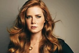 Amy Adams salva un uomo accoltellato grazie a una serie TV
