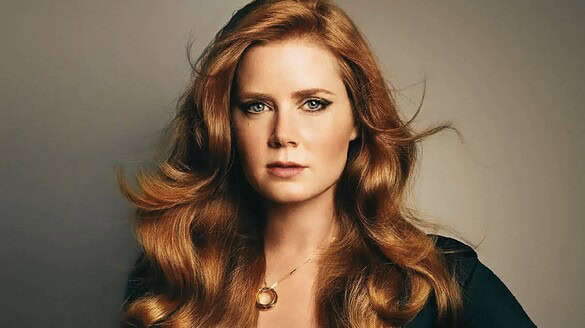 Amy Adams salva un uomo accoltellato grazie a una serie TV