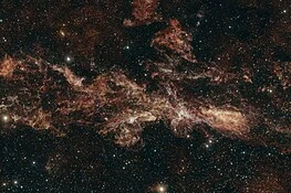 Telescopio Euclid fotografa il cuore della Via Lattea: 60 milioni di stelle