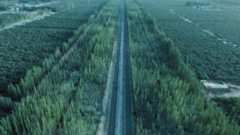 Grande Muraglia Verde