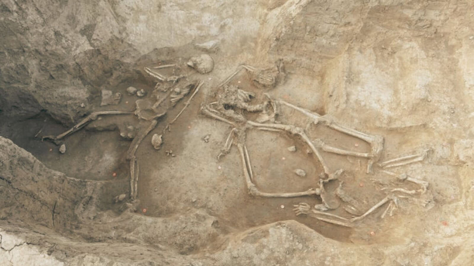 scheletri decapitati Slovacchia