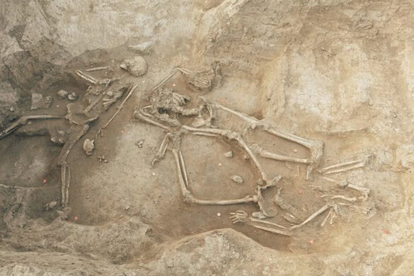 Slovacchia, 77 scheletri decapitati di 7 mila anni fa: un mistero