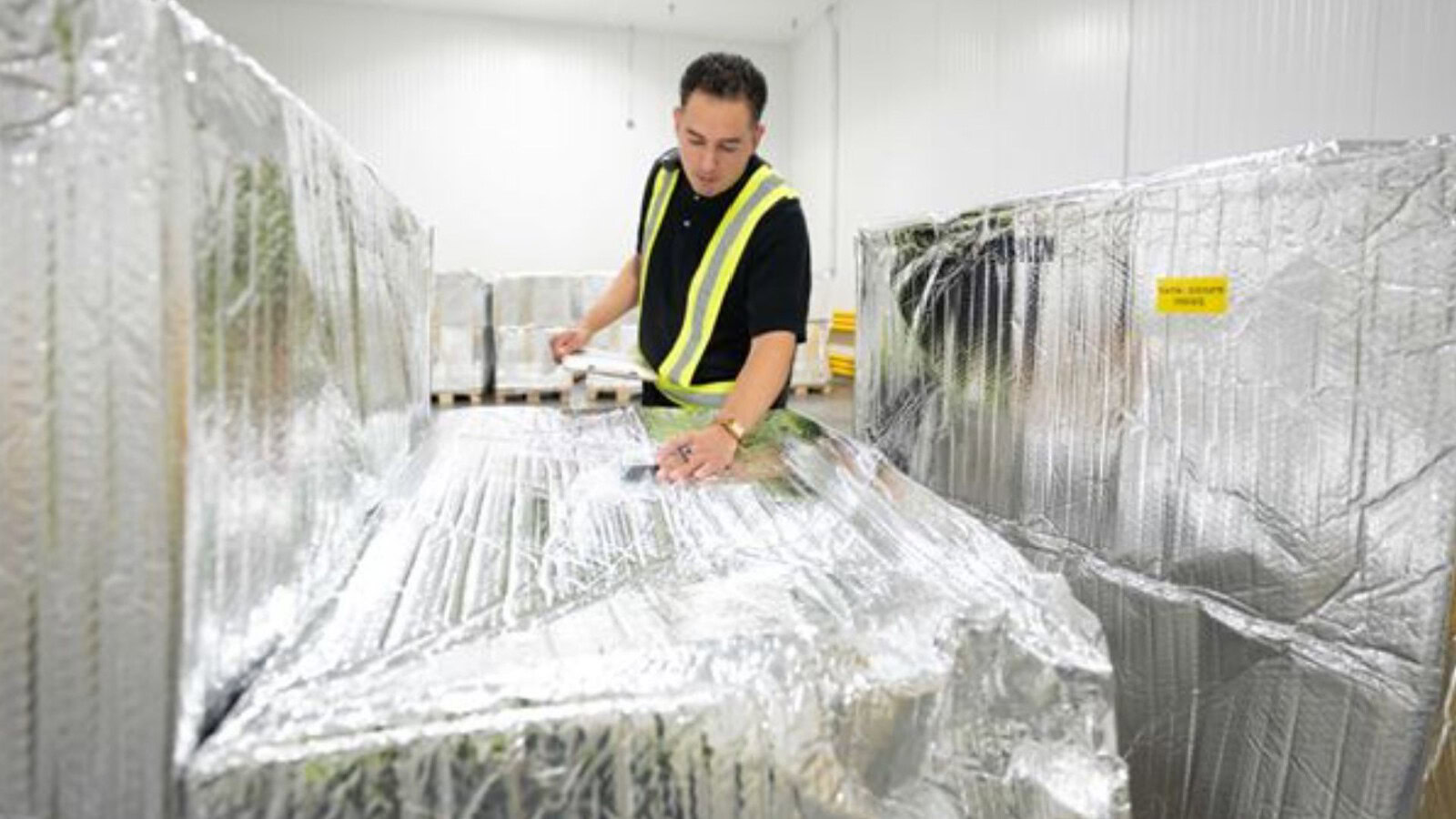 UPS investe 48 milioni nella catena del freddo healthcare