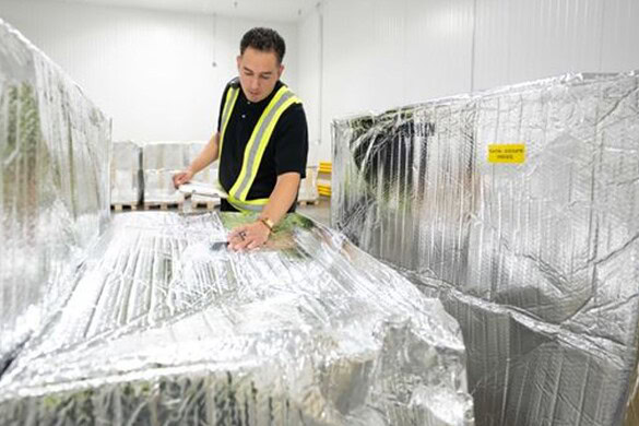 UPS investe 48 milioni nella catena del freddo healthcare