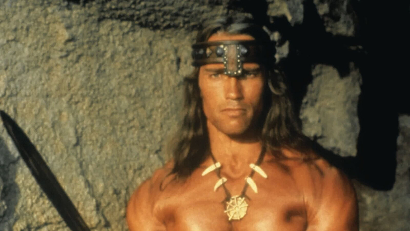 Schwarzenegger golpe Spagna