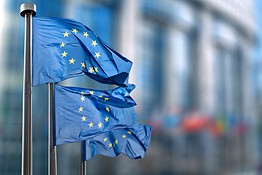 Open source europeo: l’UE sfida i software USA ma il budget fa sorridere