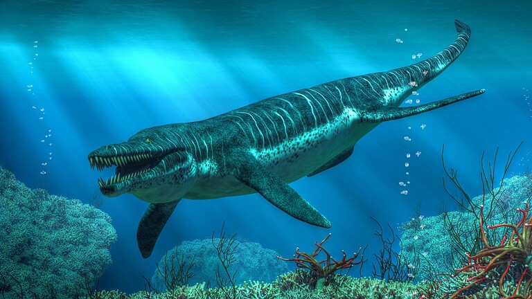 Dinosauri e mare: perché non hanno mai dominato gli oceani