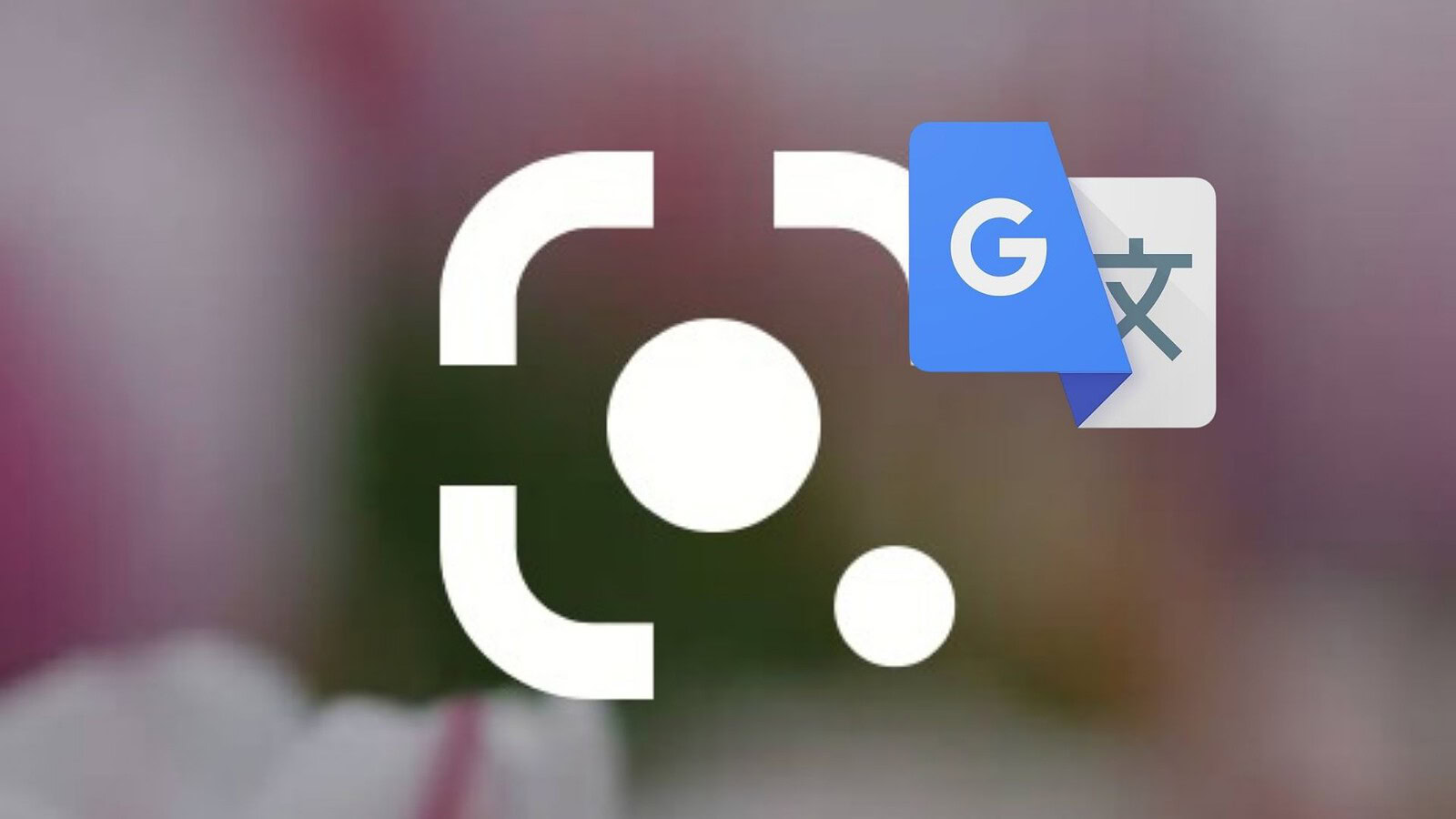 Google Lens e Traduttore: i tuoi dati ora alimentano l'AI, come bloccarli