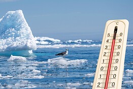Antartide, l’inverno non gela più: temperature di 20°C sopra la media