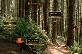 Foremyc, l’idea di tre ragazzi italiani che salva le foreste alla Red Bull Basement