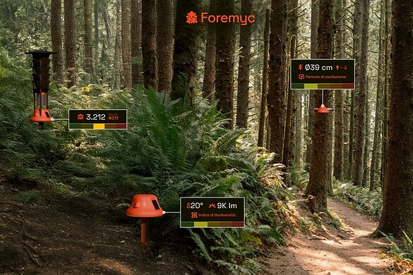Foremyc, l’idea di tre ragazzi italiani che salva le foreste alla Red Bull Basement