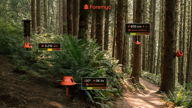 Foremyc, l'idea di tre ragazzi italiani che salva le foreste alla Red Bull Basement