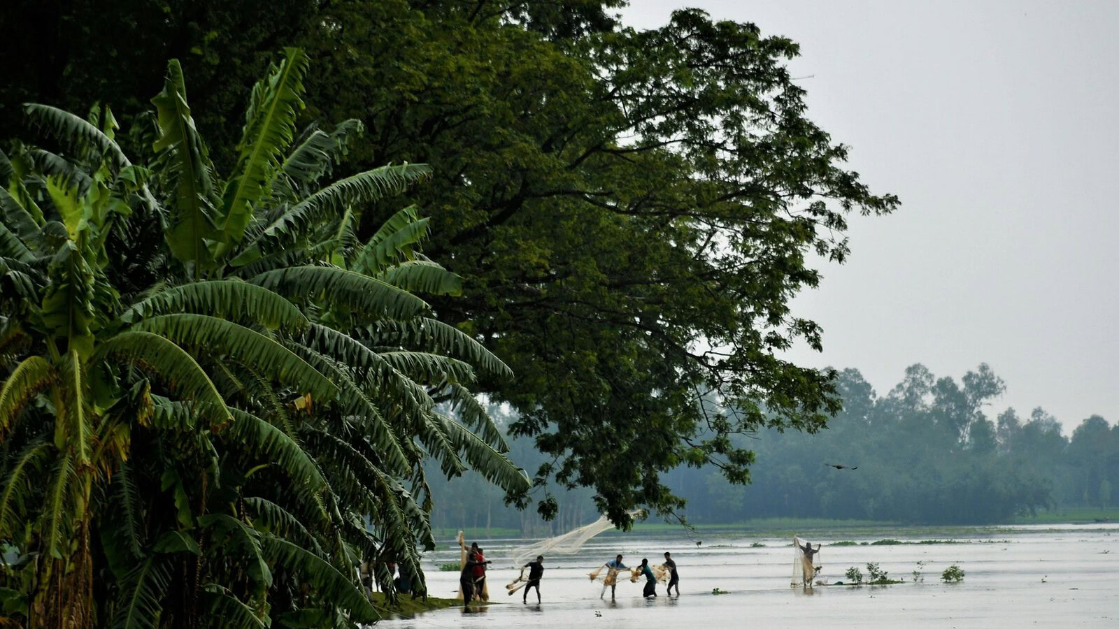 Sopravvivenza nell'Amazzonia: partirono in quattro, solo due tornarono