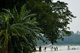 Sopravvivenza nell’Amazzonia: partirono in quattro, solo due tornarono