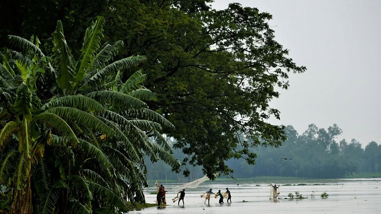 Sopravvivenza nell'Amazzonia: partirono in quattro, solo due tornarono