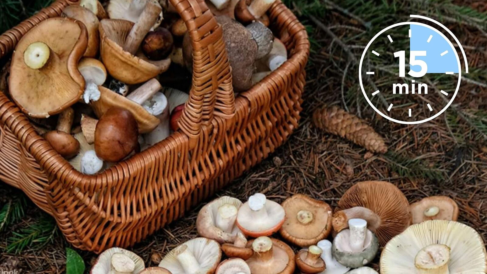 Funghi dello Yunnan, perché i ristoranti usano un timer da 15 minuti
