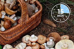 Funghi dello Yunnan, perché i ristoranti usano un timer da 15 minuti