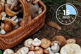 Funghi dello Yunnan, perché i ristoranti usano un timer da 15 minuti