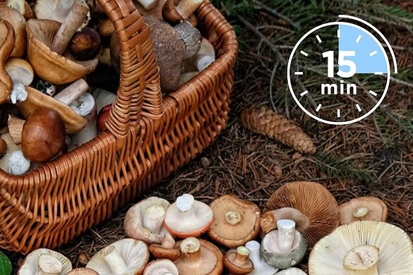 Funghi dello Yunnan, perché i ristoranti usano un timer da 15 minuti
