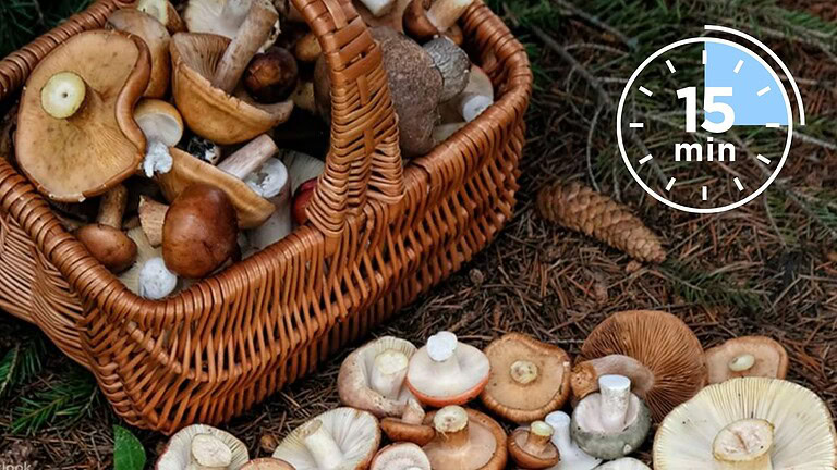 Funghi dello Yunnan, perché i ristoranti usano un timer da 15 minuti