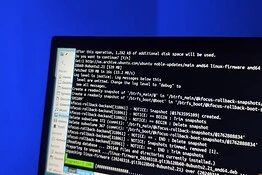 Subleq+, la distro Linux pensata per resistere mille anni