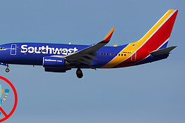 Southwest Airlines vieta i robot umanoidi sui voli dopo il caso Stewie