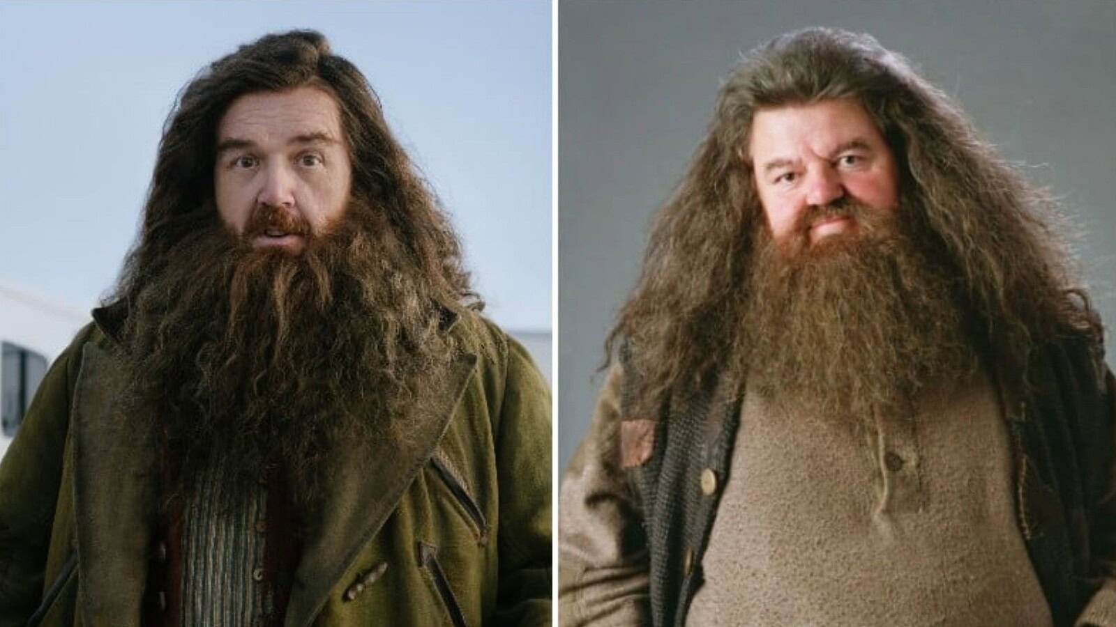 Harry Potter, l'attore avverte i fan: "Il nuovo Hagrid non piacerà a tutti"