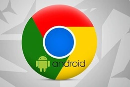 Chrome su Android ora compila da solo passaporti e patenti grazie a Google Wallet