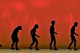 Evoluzione, il grande equivoco che fraintendiamo da sempre secondo Darwin