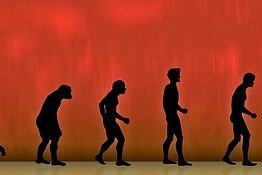 Evoluzione, il grande equivoco che fraintendiamo da sempre secondo Darwin
