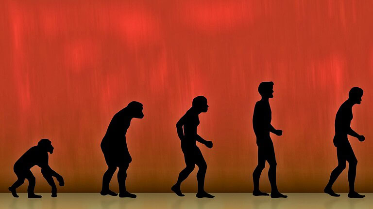 Evoluzione, il grande equivoco che fraintendiamo da sempre secondo Darwin