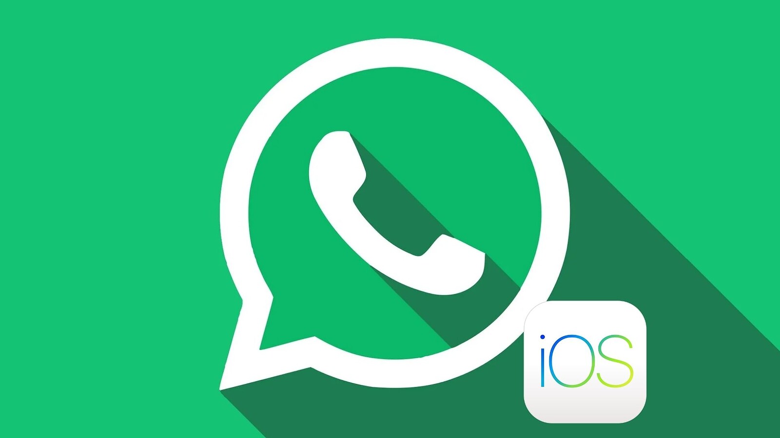 WhatsApp per iOS, arriva la ricerca tra gli aggiornamenti dei Canali