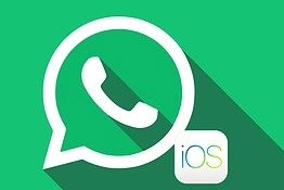 WhatsApp per iOS, arriva la ricerca tra gli aggiornamenti dei Canali