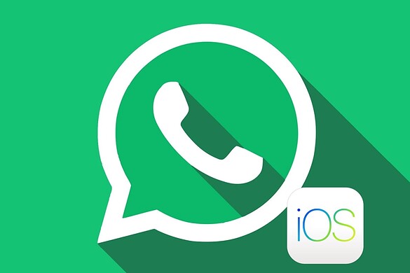 WhatsApp per iOS, arriva la ricerca tra gli aggiornamenti dei Canali