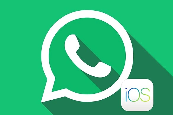 WhatsApp per iOS, arriva la ricerca tra gli aggiornamenti dei Canali