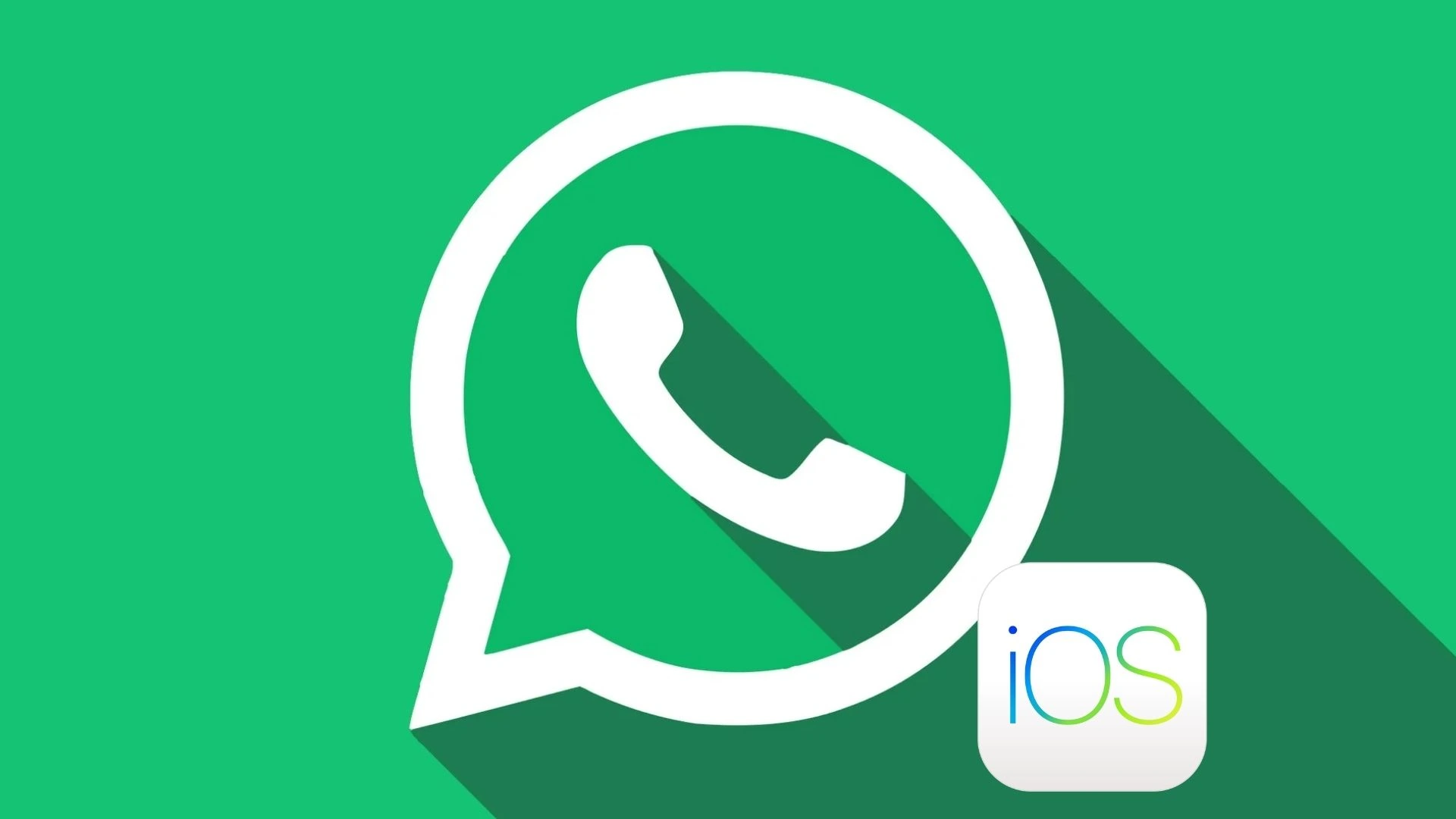 WhatsApp per iOS, arriva la ricerca tra gli aggiornamenti dei Canali