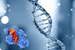 Scoperta una proteina che nasconde le mutazioni genetiche più pericolose