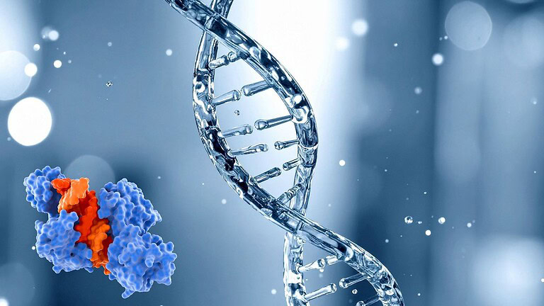 Scoperta una proteina che nasconde le mutazioni genetiche più pericolose